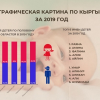 Регистрация рождений за 2019 год